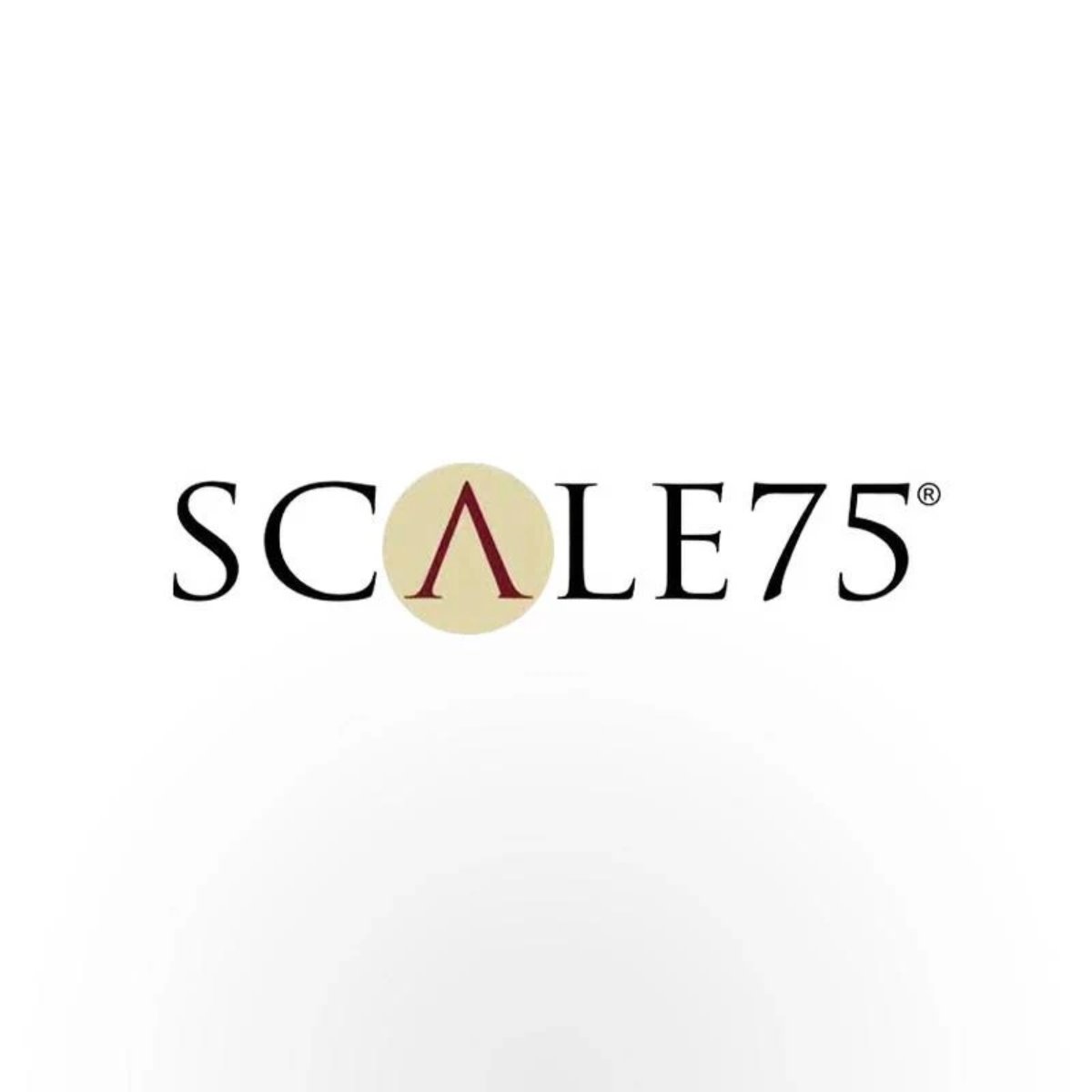 SCALE75 – Games Unlimited NZ